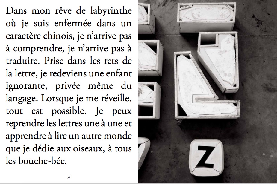 Representation of zacommeboaz.jpg